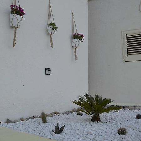 Casa Vacanza Salentina Gagliano del Capo Exteriör bild